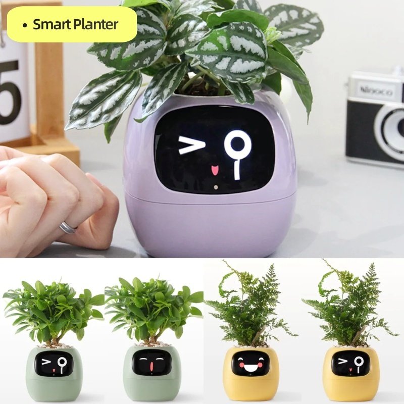 63bb920b-e4e4-454d-9898-fdf27fe3713c.jpg Smart Planter Endless Fun Over 49 Rich Expressions 7 Smart Sensors And AI Chips Make Raising Plants Easy And Fun